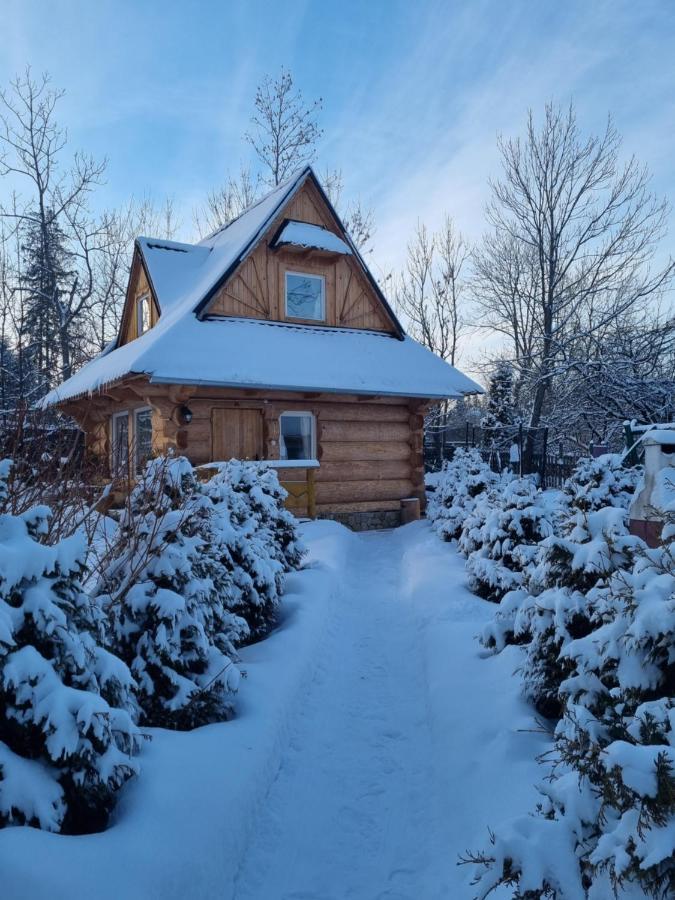 Domki U Ciaptoka Zakopane Exterior photo