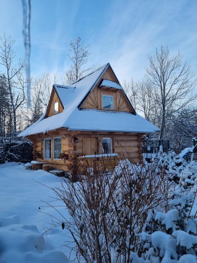 Domki U Ciaptoka Zakopane Exterior photo