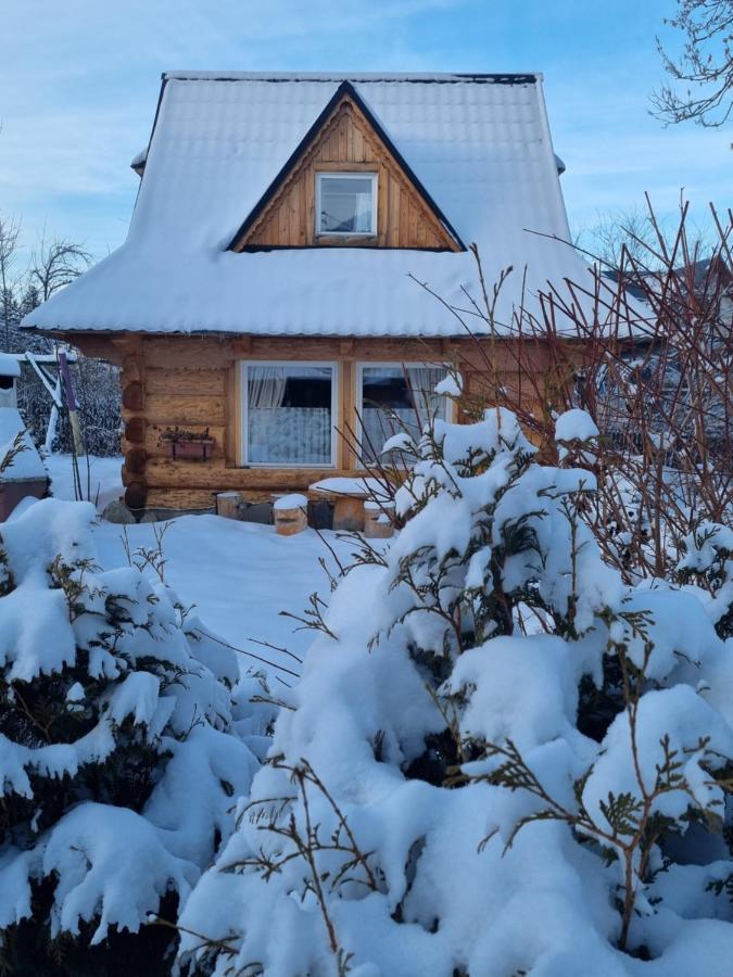 Domki U Ciaptoka Zakopane Exterior photo