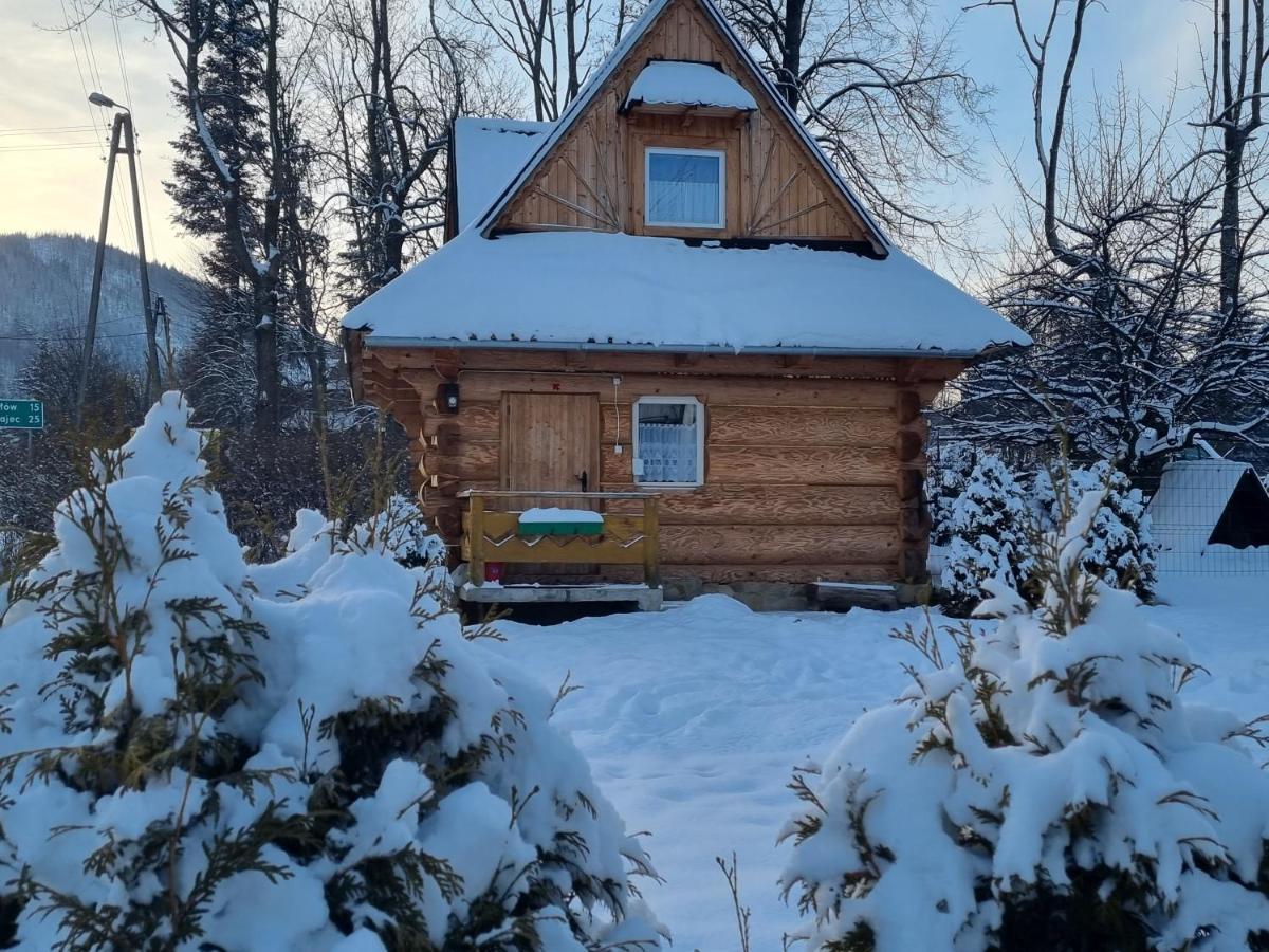 Domki U Ciaptoka Zakopane Exterior photo